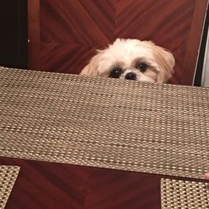 Meet your Posher, Alberto